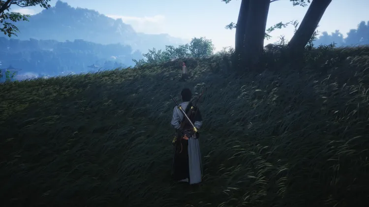 L'Héritage du Petit Maître I