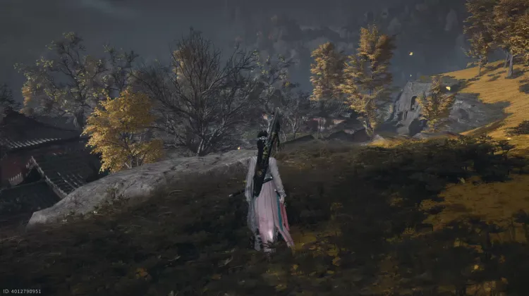 L'Assassin Silencieux