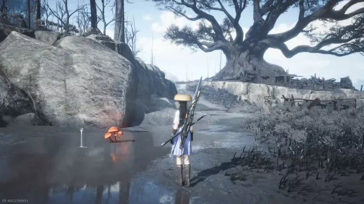 Scarabée de Brume Rouge