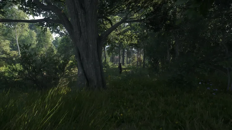 Una Situazione Sospetta