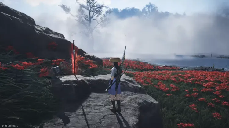 Collection des Feux Follets