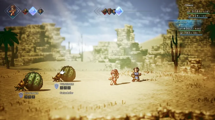 Rullo di Cactus (2x)