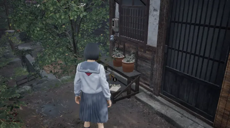 Nota del Médico Local