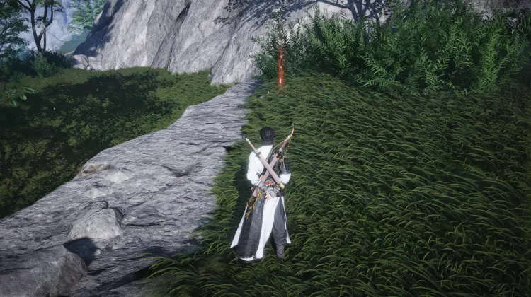 Course-poursuite de Chat