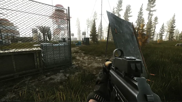 Punto de Transición