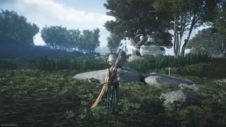 Ranch de Crinière Sauvage