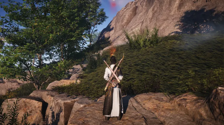 Scarabée de Brume Rouge