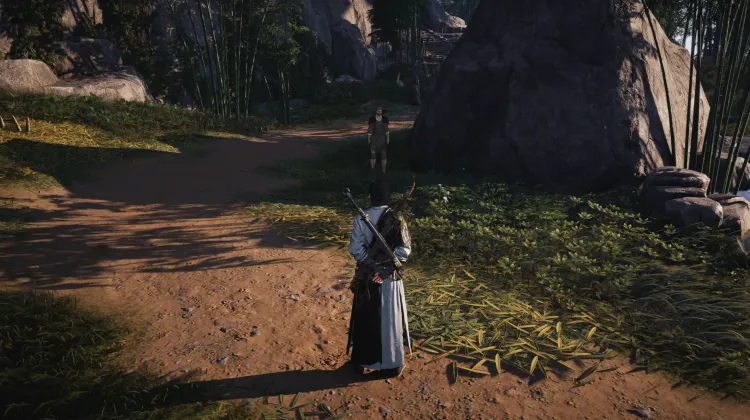 Vol de compétence : Leçon non méritée