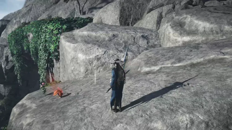 Scarabée de Brume Rouge