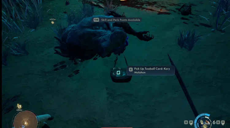 Carte Tossball : Kory Molohon