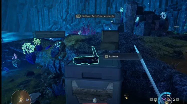 Praetor Ecological Study