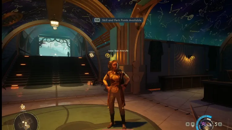 Junior Seer Amaryllis