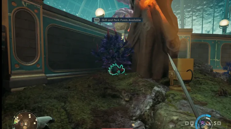 Laphoria Impitoyable