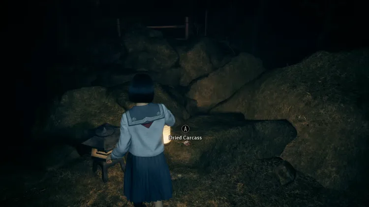 Vertrockneter Kadaver