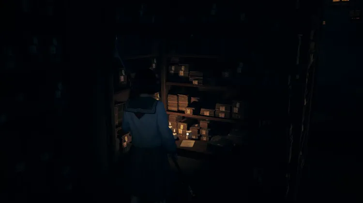 Diário do Médico de Família