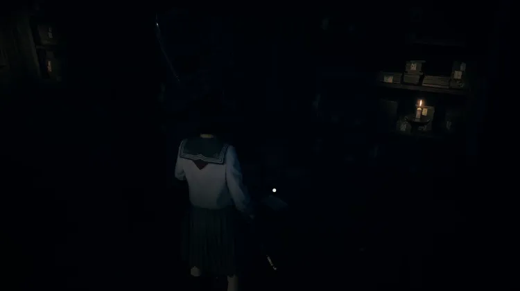 Diário do Médico de Família