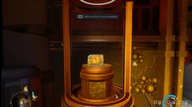 Placage d'Amplification Réfléchissante