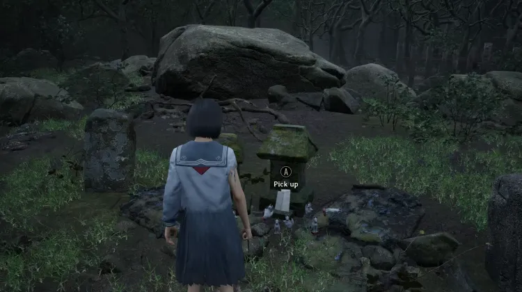 Carta de la Madre de Sakuko