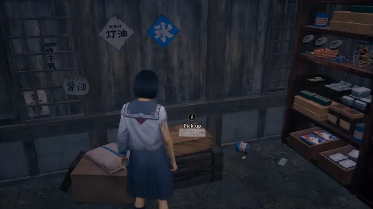 Rinkos geheimes Tagebuch