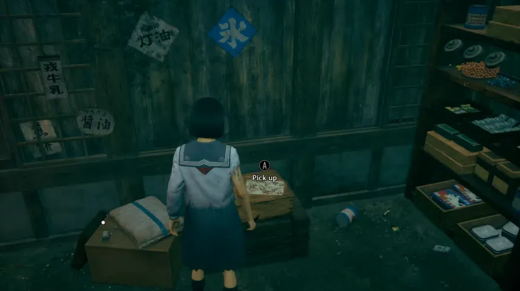 Rinkos geheimes Tagebuch