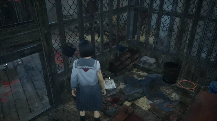 Seiten aus einem Beobachtungsprotokoll