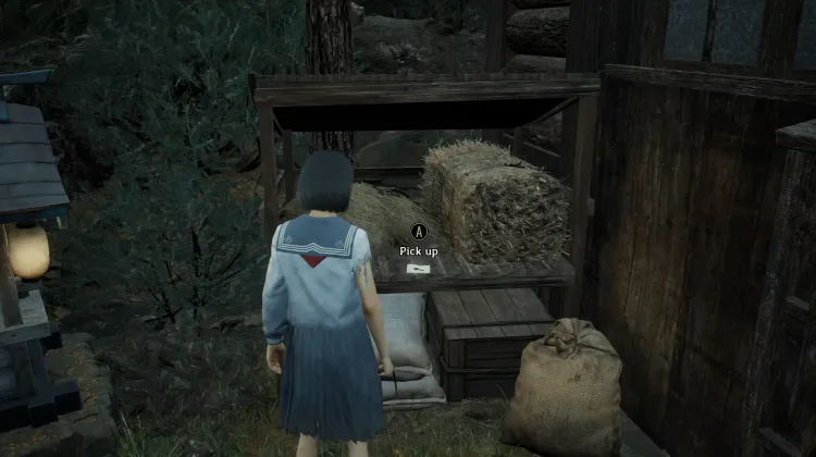 Clé du Portail en Métal