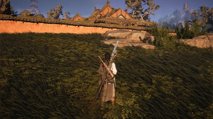 Mante aux Ailes de Fer