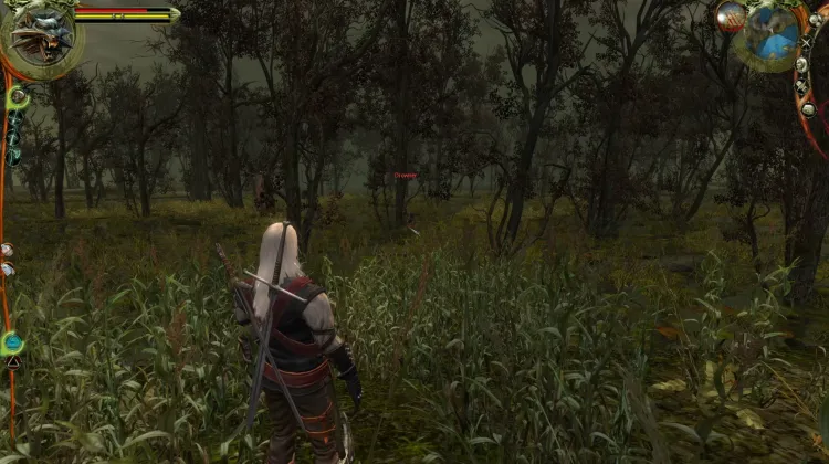 Noyeurs et Morts Noyeurs