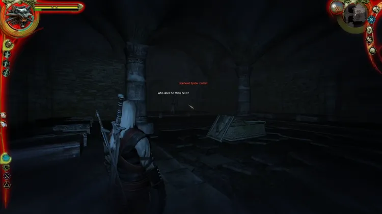 Löwenkopf-Spinnen-Kultist