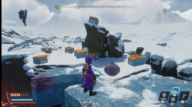 Skrzynie Kuponów Alta