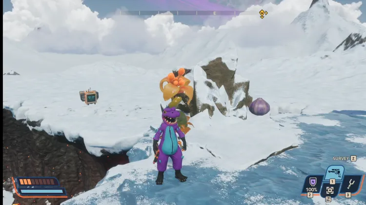 Roślina Witalności