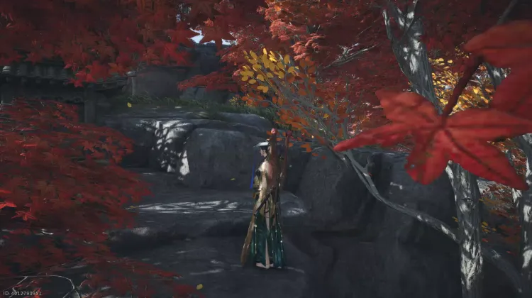 Feu Spectral de Rituel Sauvage