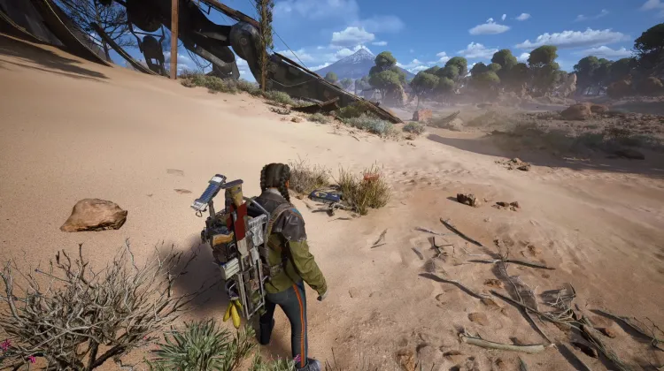 Alijos de Saqueadores