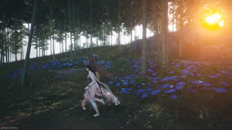 Artisans : Aide Urgente