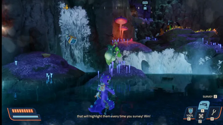 Plante Bombe de Fléau