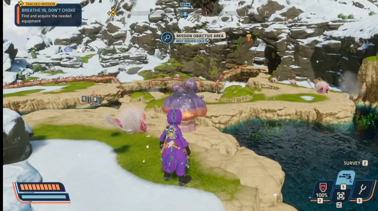 Plante de Grenade-Bombe