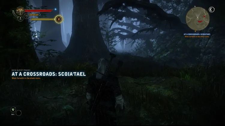 At A Crossroads: Scoia'tael