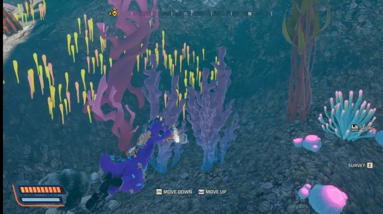 Pod Wodną Dyskotek Utrzymuje Się