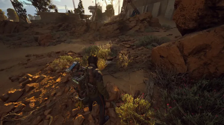 Alijos de Saqueadores