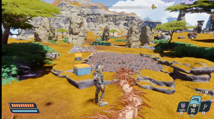 Caisses de Coupons d'Alta