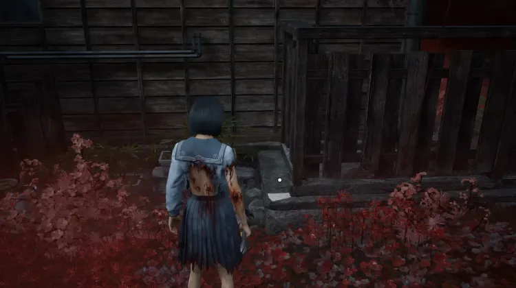 Carta de la Madre Estricta