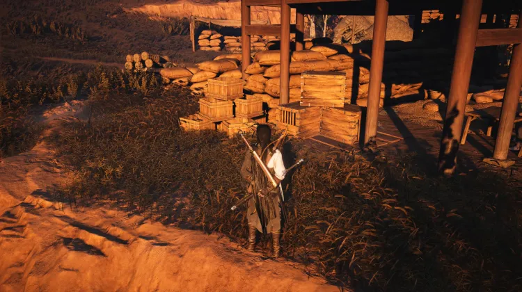 Grignoteur de Minuit