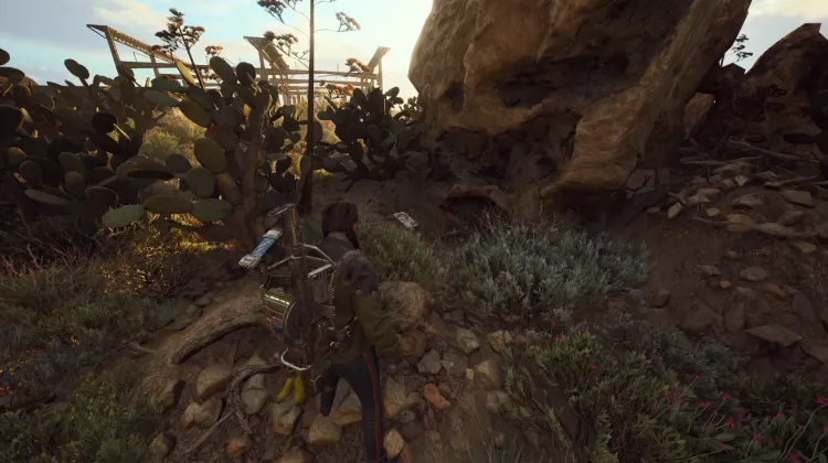 Alijos de Saqueadores