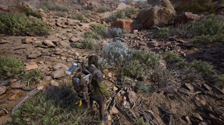 Alijos de Saqueadores