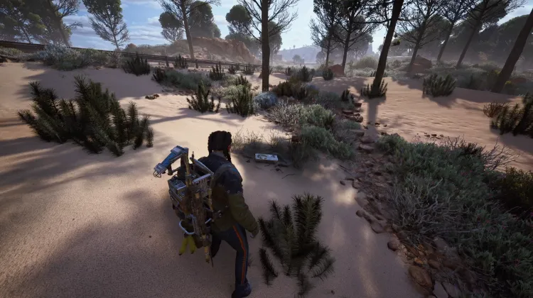 Alijos de Saqueadores