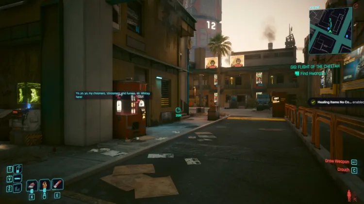 Flight of the Cheetah