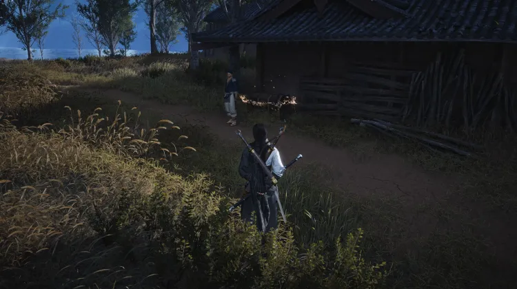 Coffre au Trésor de l'Avare