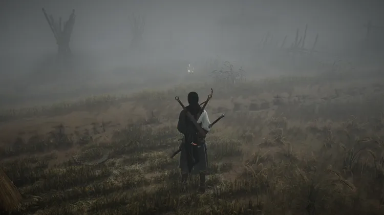 Crapaud Rayon de Lune