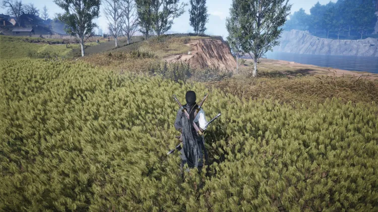 Brindille Apaise-Cœur