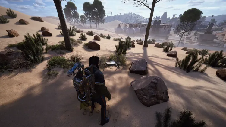 Alijos de Saqueadores